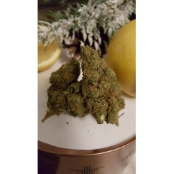 lemon skunk