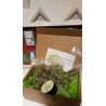 pack decouverte CBG: resine & fleurs