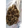 GORILLA GLUE