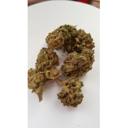 GORILLA GLUE