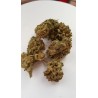 GORILLA GLUE
