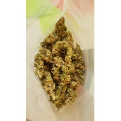 White Widow CBG