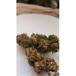 White Widow CBG