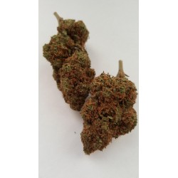 STRAWBERRY HAZE
