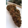 STRAWBERRY KUSH