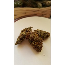 berry haze