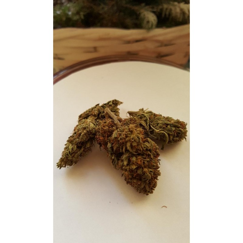 berry haze