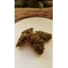 berry haze