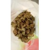 berry haze
