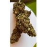 jack herer cbg