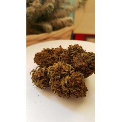 OG KUSH XL