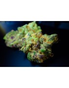 CBD