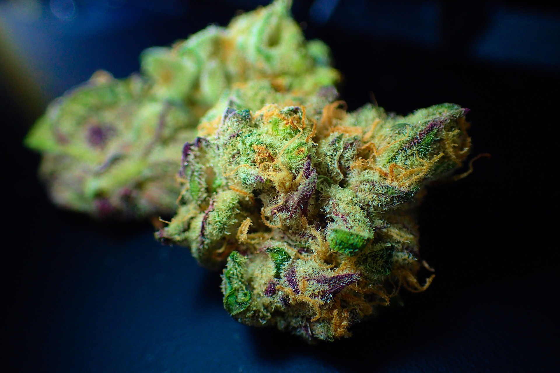 Fleurs de cannabis